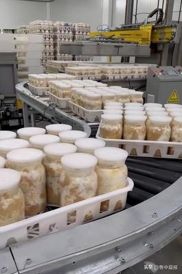 智慧賦能，科技增效——食用菌智慧工廠化生產關鍵技術研發及產業化項目現場調研側記